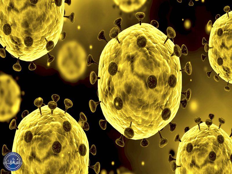 coronavirus
