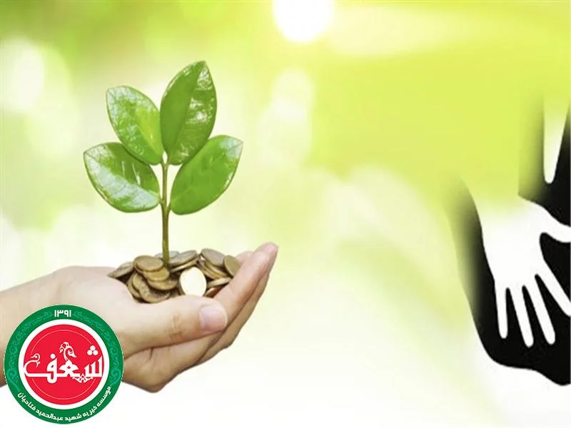 طرح کسب و کار در خیریه ها
