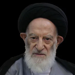 شبیری308