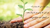 image_1e02a8e7c6