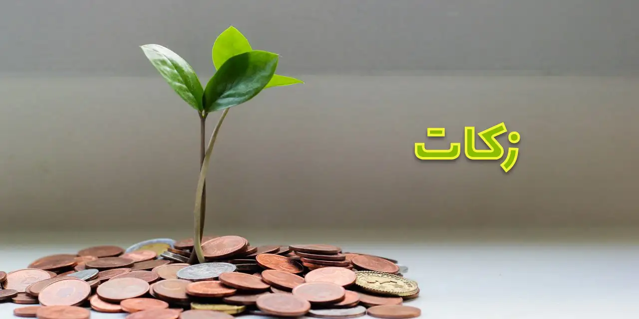 zakat-facts-and-rules-1280x640