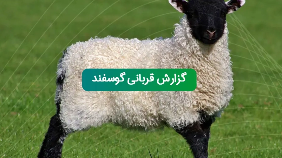 gozaresh-ghorbani