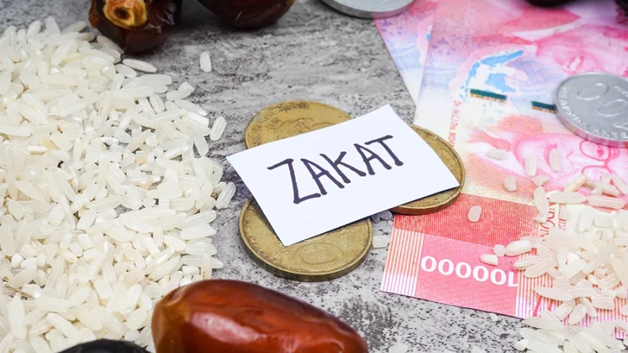 سهم سادات چیست؟ نحوه پرداخت آن در خمس و زکات
