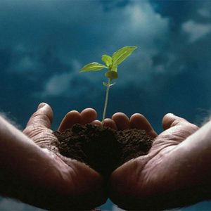 اهمیت وقف در جامعه امروزی؛ تبدیل سرمایه به میراث اجتماعی ماندگار