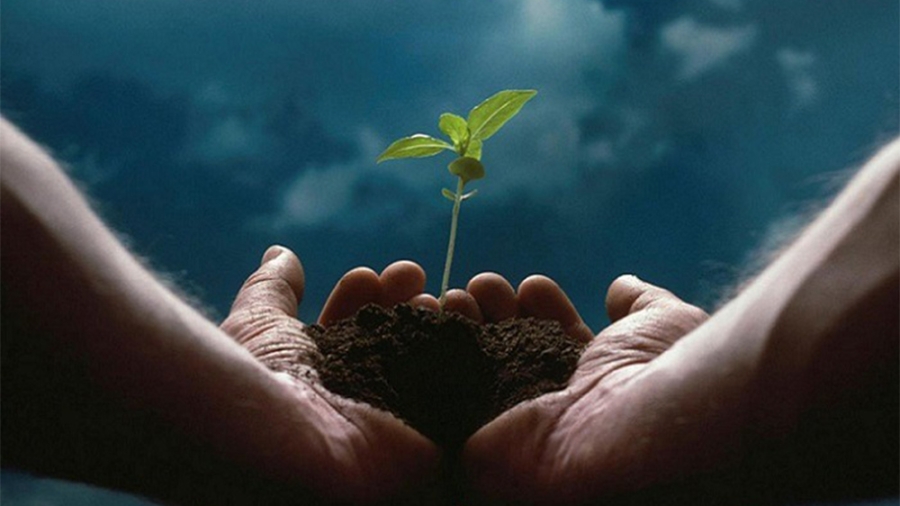 اهمیت وقف در جامعه امروزی؛ تبدیل سرمایه به میراث اجتماعی ماندگار