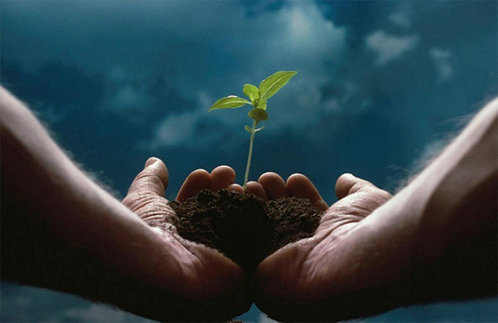 اهمیت وقف در جامعه امروزی؛ تبدیل سرمایه به میراث اجتماعی ماندگار