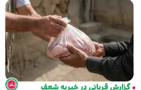 گزارش قربانی در خیریه شعف - اردیبهشت 1405