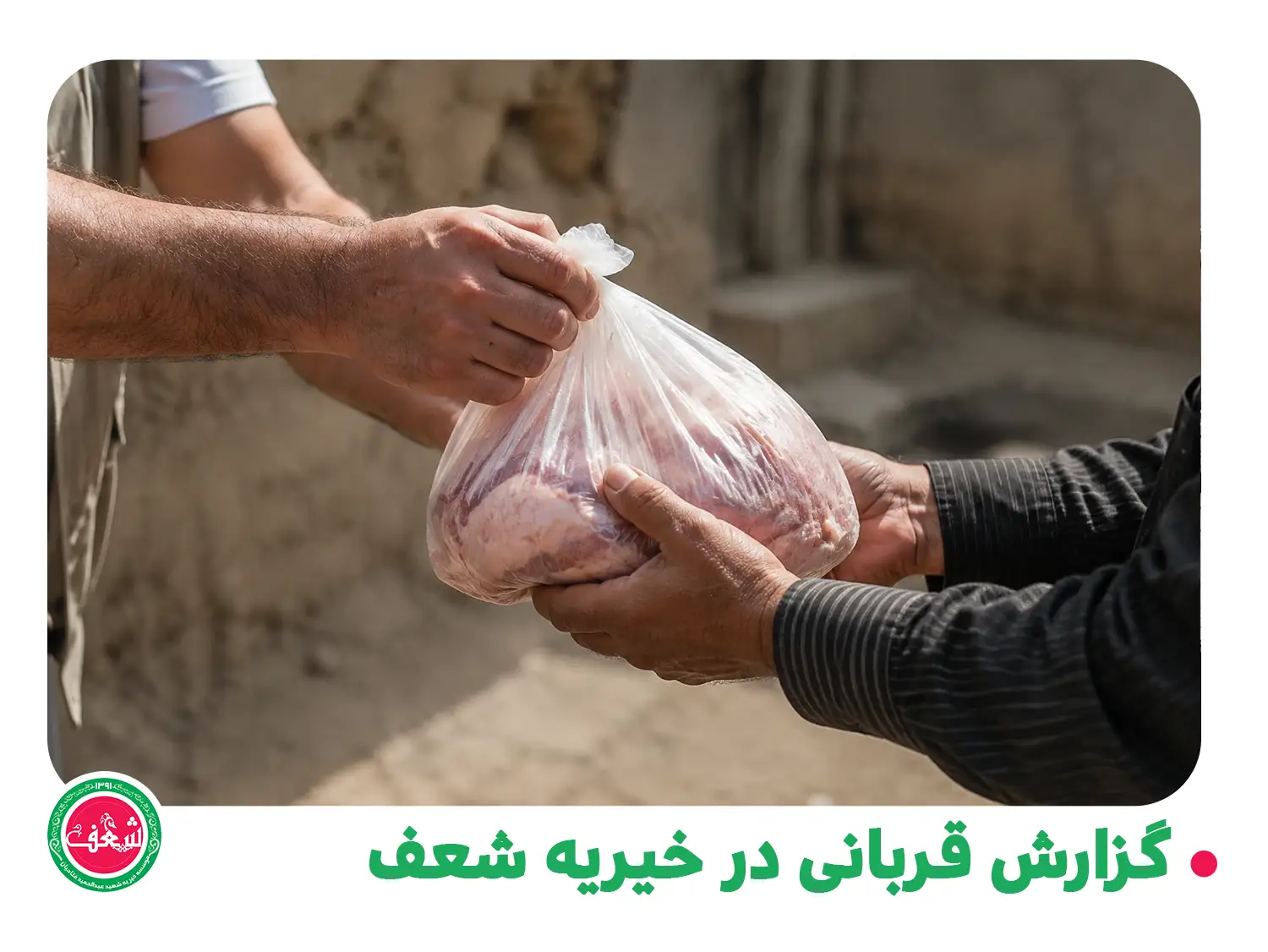 گزارش قربانی در خیریه شعف - اردیبهشت 1405