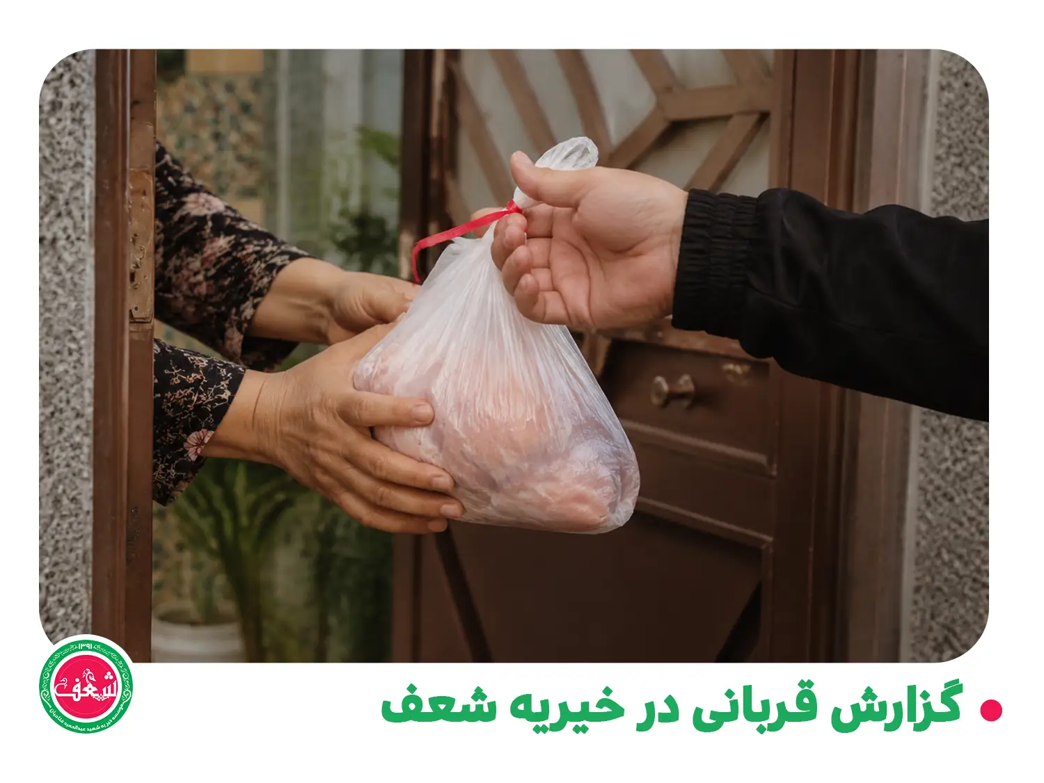 گزارش قربانی در خیریه شعف