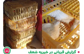 گزارش قربانی در خیریه شعف