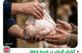 گزارش قربانی در خیریه شعف - 08 تیر 1405
