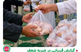 گزارش قربانی در خیریه شعف - 12 خرداد 1405