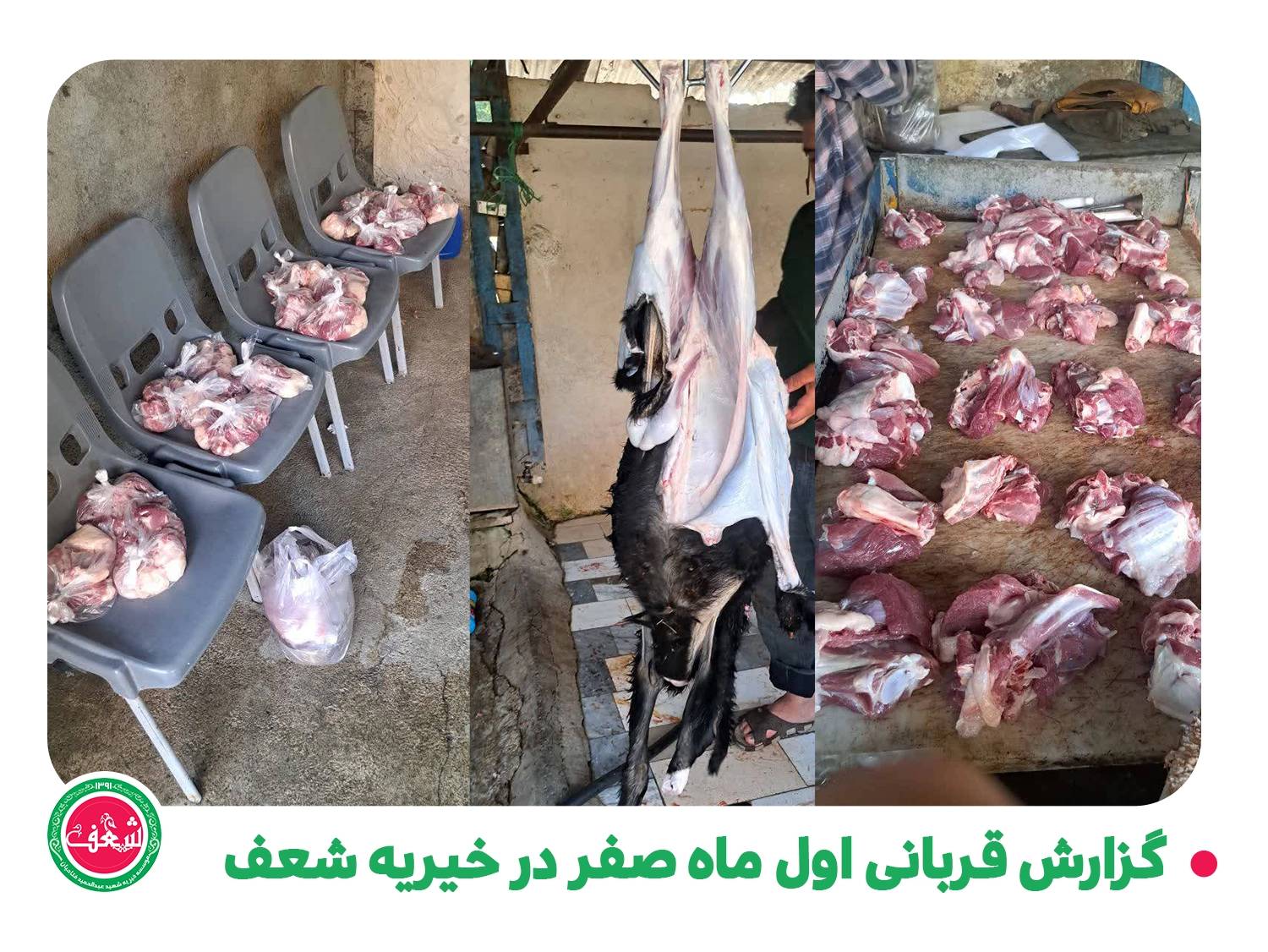 گزارش پویش قربانی اول ماه صفر در خیریه شعف