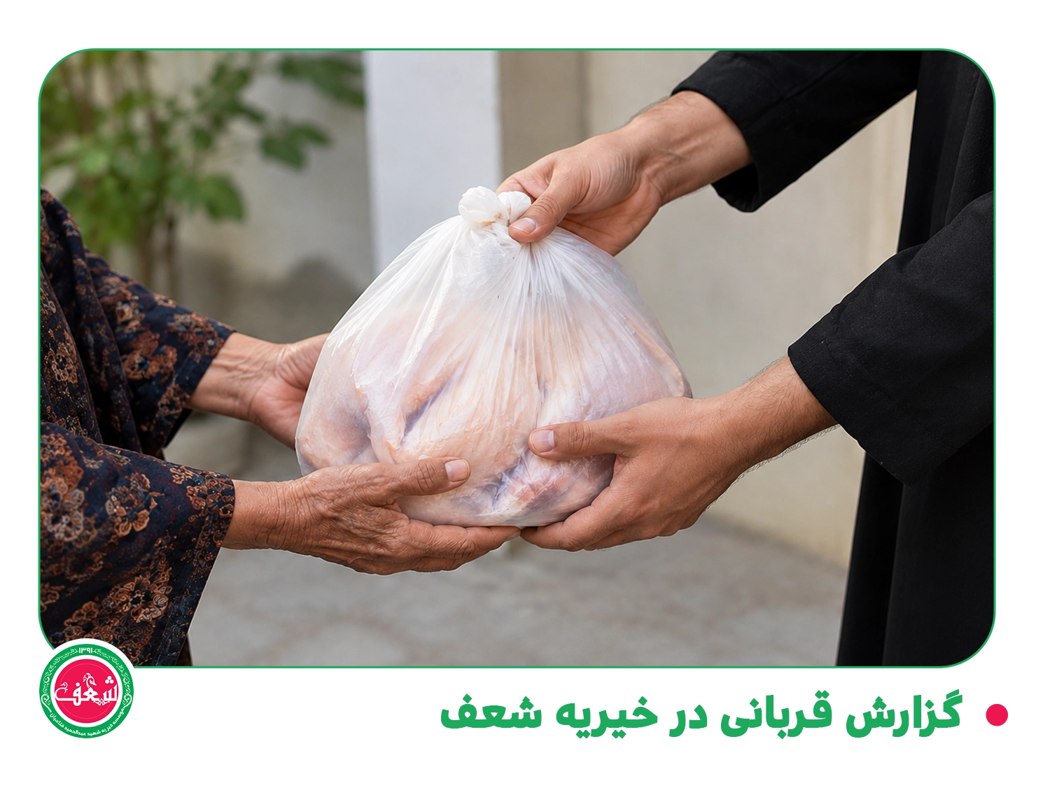 گزارش قربانی در خیریه شعف - 1405